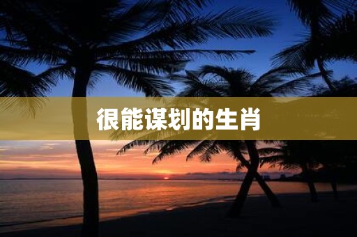 很能谋划的生肖