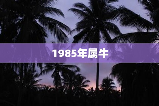 1985年属牛