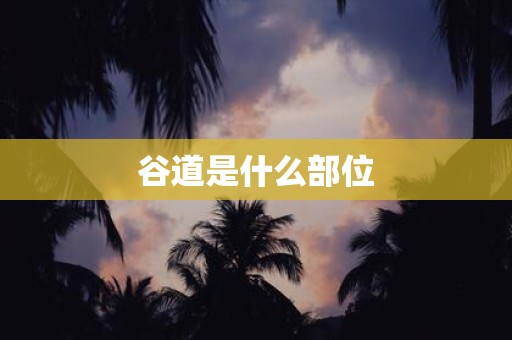 谷道是什么部位