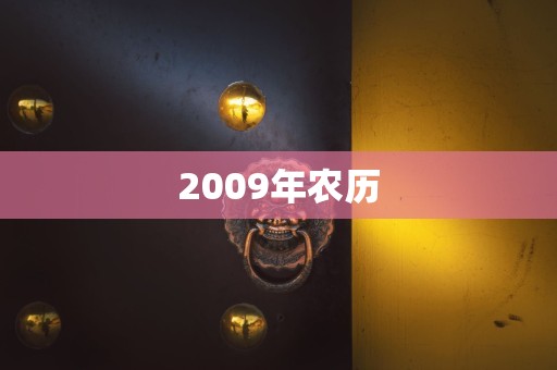 2009年农历