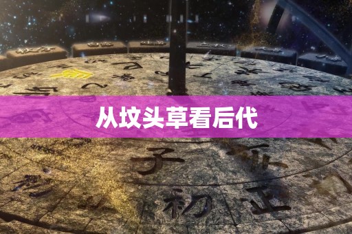 从坟头草看后代