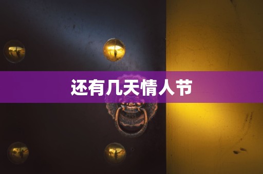 还有几天情人节