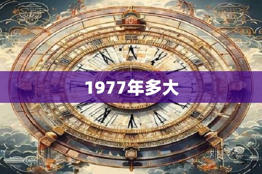 1977年多大