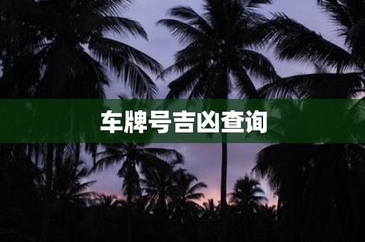 车牌号吉凶查询