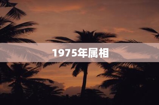 1975年属相