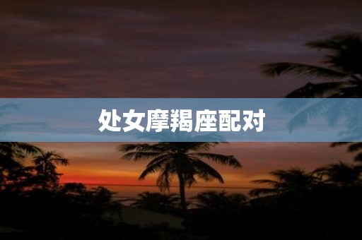 处女摩羯座配对