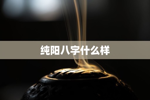 纯阳八字什么样