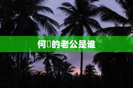 何翯的老公是谁