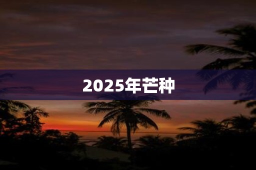 2025年芒种