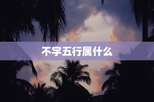 不字五行属什么