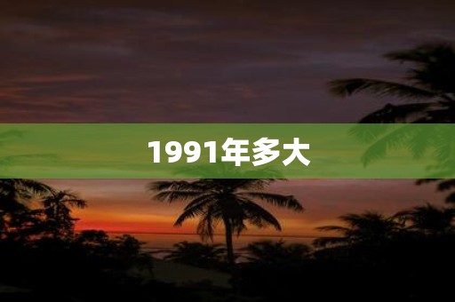 1991年多大