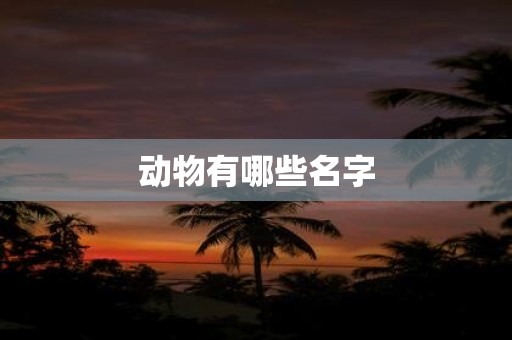 动物有哪些名字