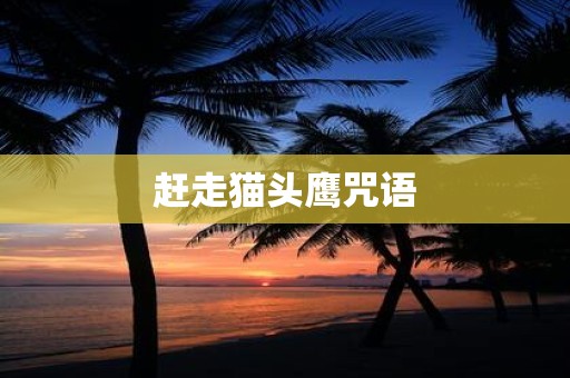 赶走猫头鹰咒语