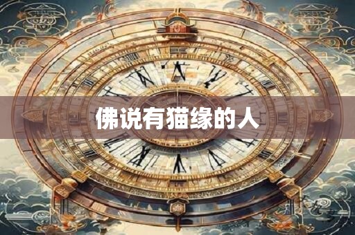 佛说有猫缘的人