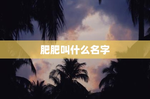 详细阅读:肥肥叫什么名字 肥肥叫什么名字