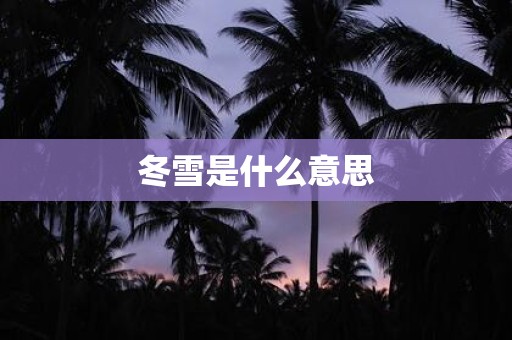 冬雪是什么意思