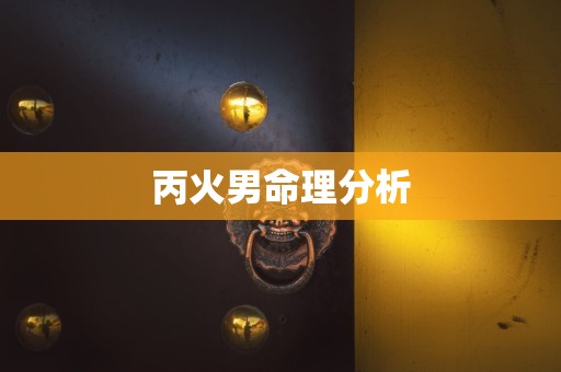 丙火男命理分析