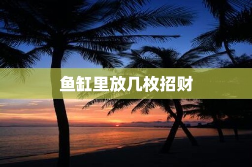 详细阅读:鱼缸里放几枚招财 鱼缸里放几枚招财