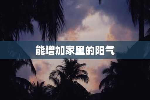能增加家里的阳气