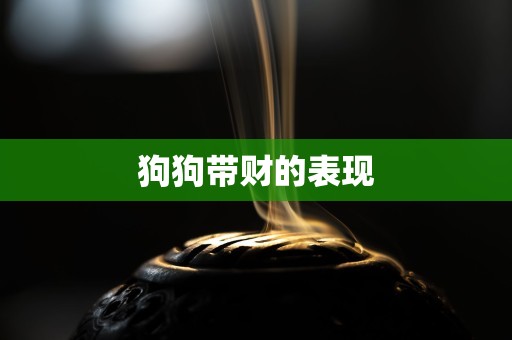 狗狗带财的表现