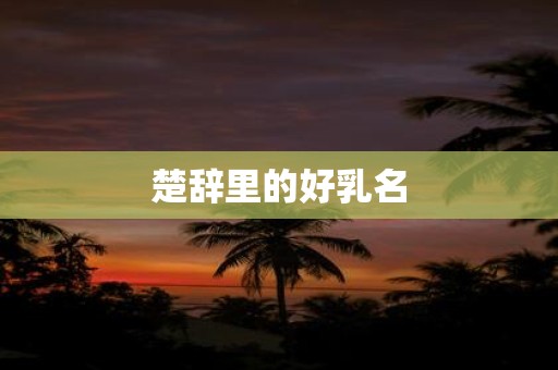楚辞里的好乳名