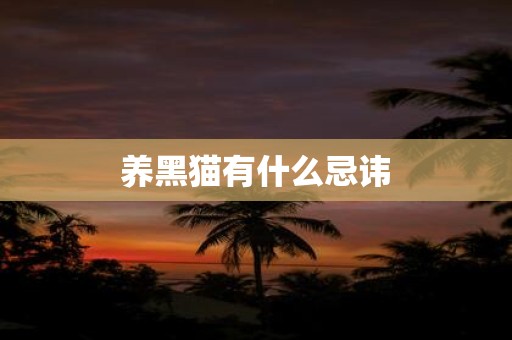 养黑猫有什么忌讳