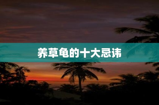 养草龟的十大忌讳