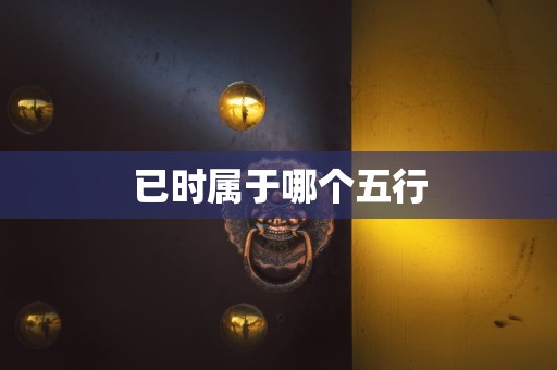 已时属于哪个五行