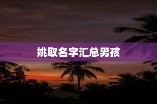 姚取名字汇总男孩