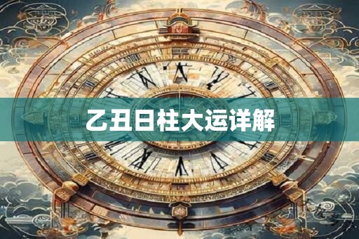 乙丑日柱大运详解