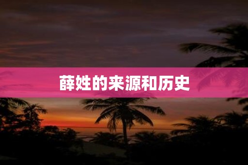 薛姓的来源和历史