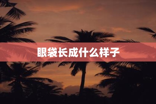 眼袋长成什么样子