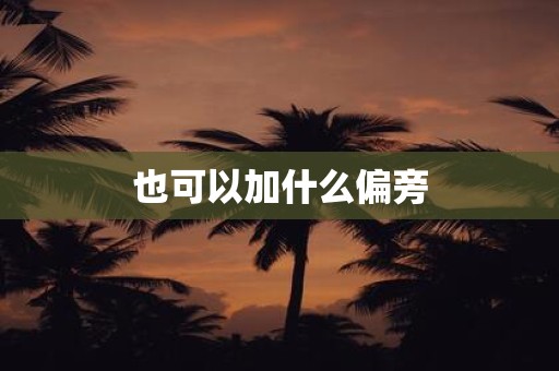 也可以加什么偏旁