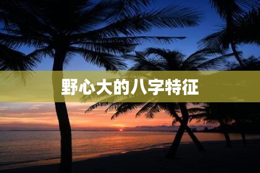 野心大的八字特征