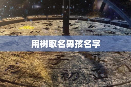 用树取名男孩名字