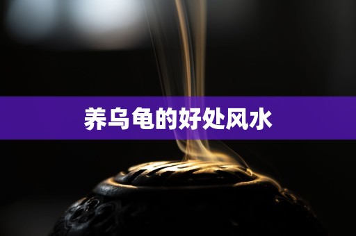 养乌龟的好处风水