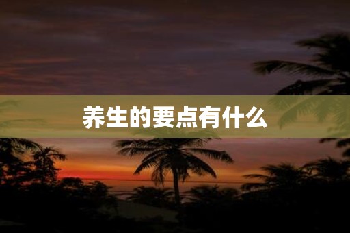 养生的要点有什么
