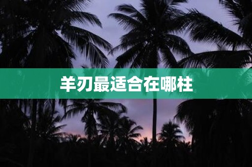 羊刃最适合在哪柱