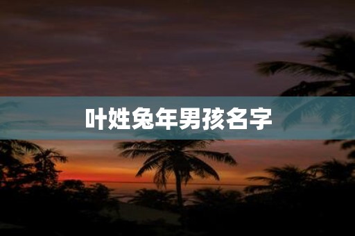 叶姓兔年男孩名字