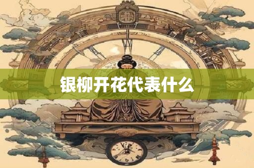 银柳开花代表什么