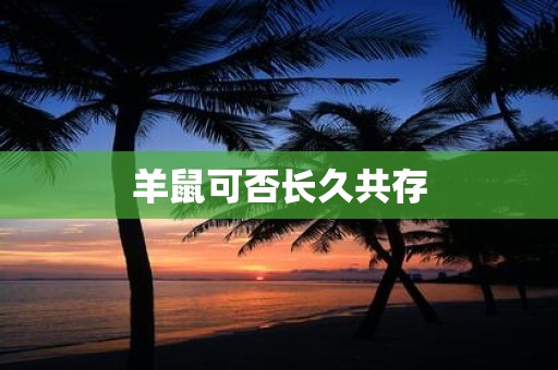 羊鼠可否长久共存