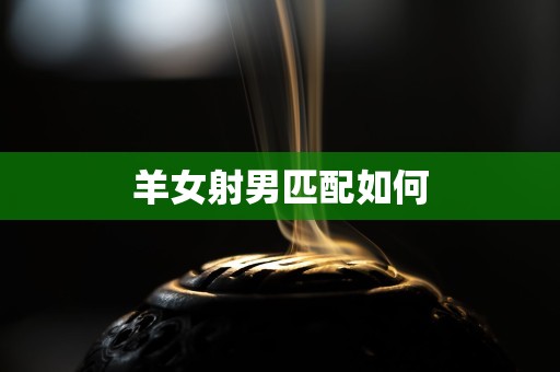羊女射男匹配如何