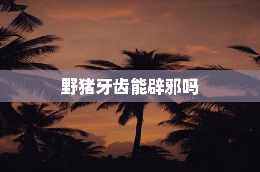 野猪牙齿能辟邪吗