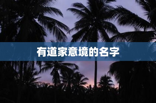 有道家意境的名字
