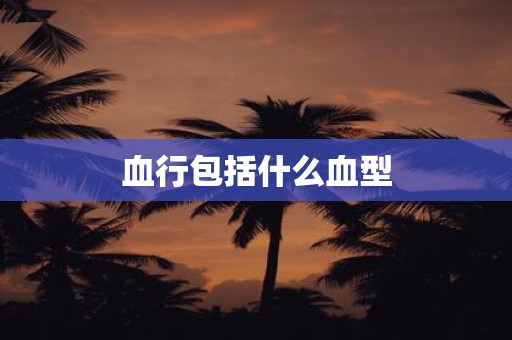 血行包括什么血型