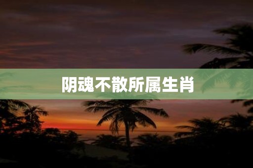 阴魂不散所属生肖