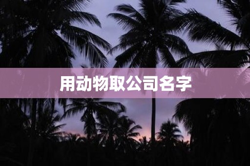 用动物取公司名字