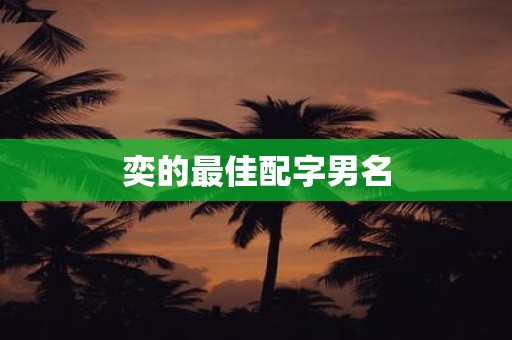 奕的最佳配字男名