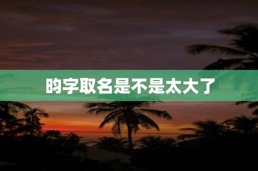昀字取名是不是太大了