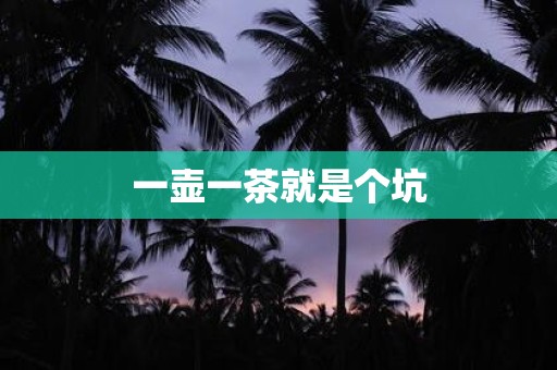一壶一茶就是个坑